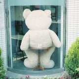 ベアー