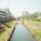 散歩道