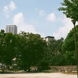 夏の公園