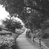 図書館の歩道