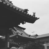 照養寺の門