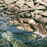 脇田海岸