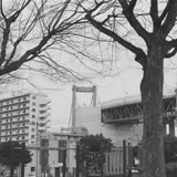 公園から若戸大橋