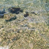 春の洞海湾