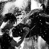 水浴びの水牛