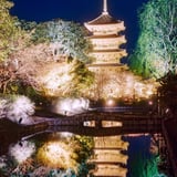 夜の東寺五重塔 ✨🏯