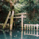 鹿島神宮 御手洗池
