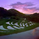 大山千枚田