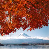  秋色に染まる河口湖 🍁🏔️