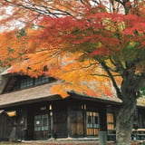 西湖いやしの里根場 - II