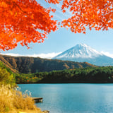 西湖の秋彩 🍁