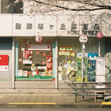 桜の街に春が来る