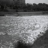 川のキラキラ