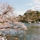 春