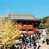 冬、鎌倉
