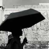 Umbrella