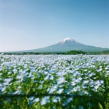 青々