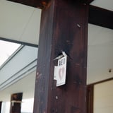 燕の鼓動