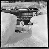 雪深く運休