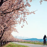 サイクリング日和