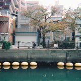 整列