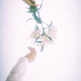 夢