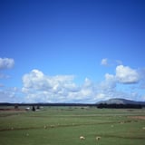 NZ-Northen explorer