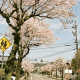 はじまりの春
