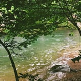 森と雨