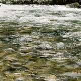 夏の渓は光の反射が美しい