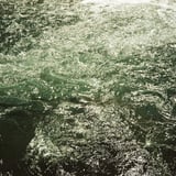 流れの傍で