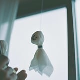 ある日