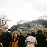 華の祭