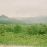 神さびた古戦場