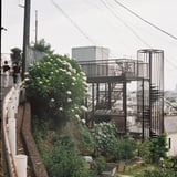 長尾山25年6月
