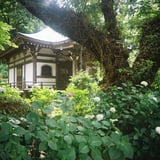 長尾山妙楽寺25年6月