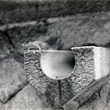 一心寺