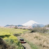 春を探しに