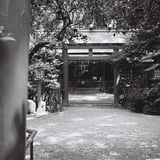 新しい期を迎えるにあたり