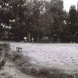 街中の公園