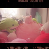 家族たち