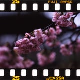 しっとり
