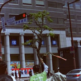 街歩き