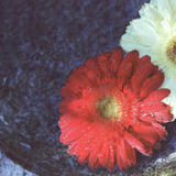 華