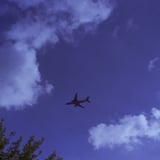 飛行機