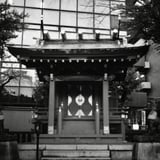 渋谷散策