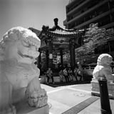 中華街散歩