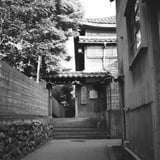 忍者寺