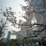 六本木ミッドタウンにて