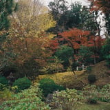 横浜もみじお寺散策